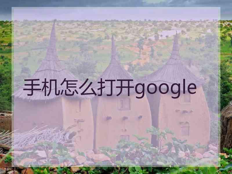 手机怎么打开google