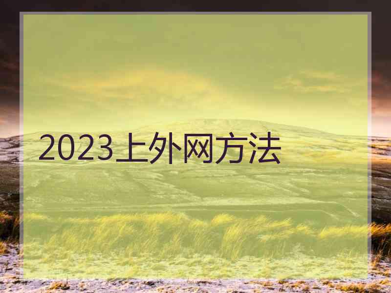 2023上外网方法