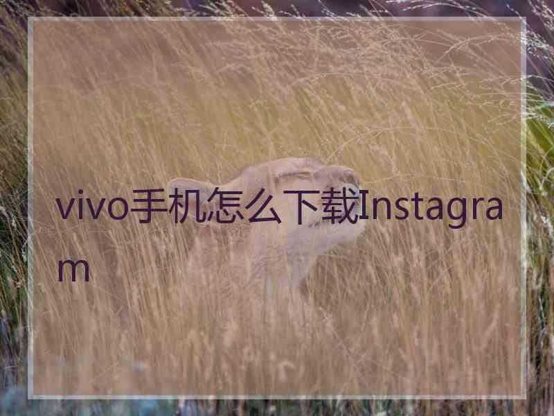 vivo手机怎么下载Instagram