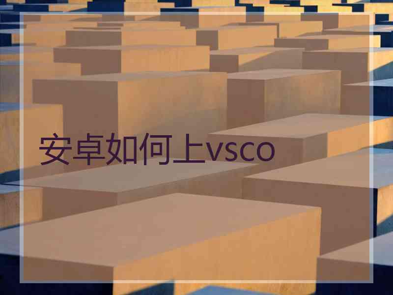 安卓如何上vsco