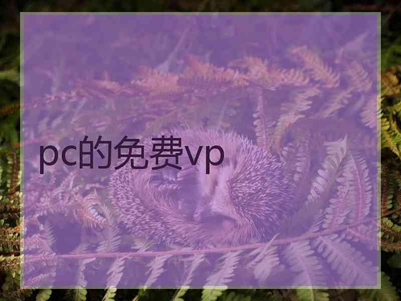 pc的免费vp