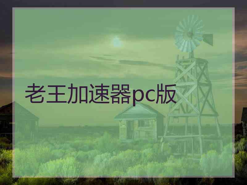 老王加速器pc版