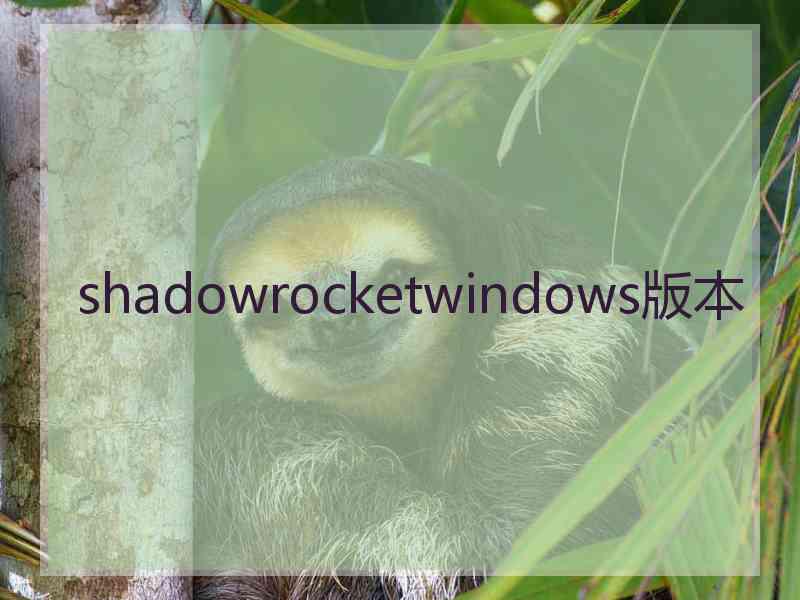 shadowrocketwindows版本