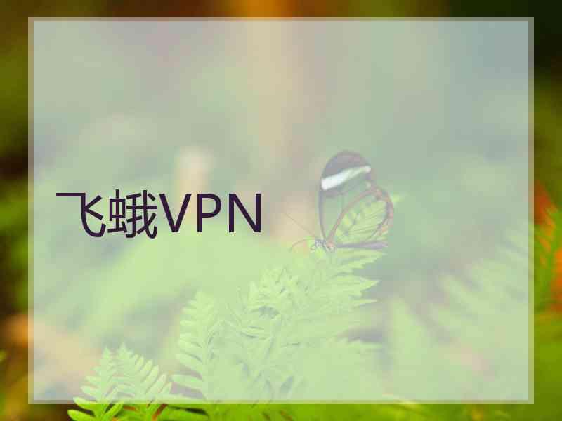 飞蛾VPN