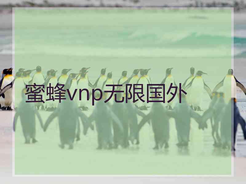 蜜蜂vnp无限国外