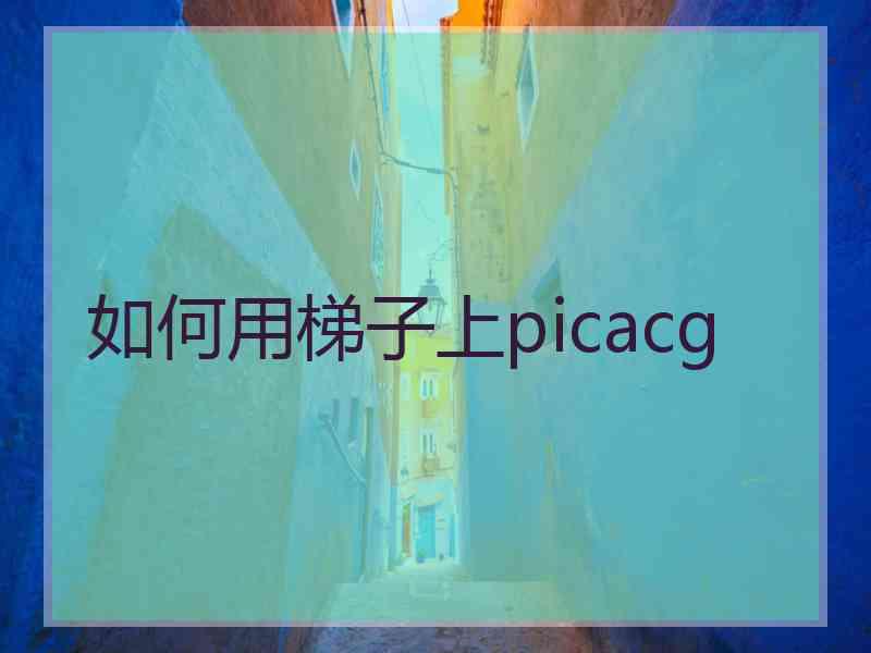 如何用梯子上picacg