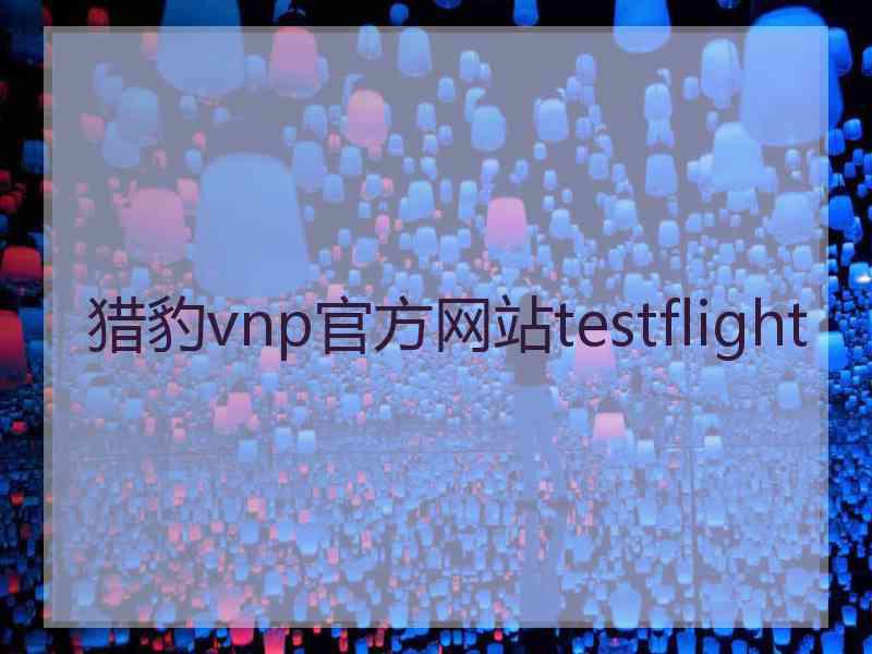 猎豹vnp官方网站testflight