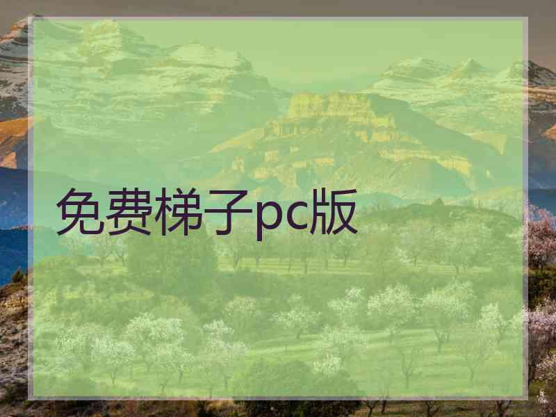 免费梯子pc版