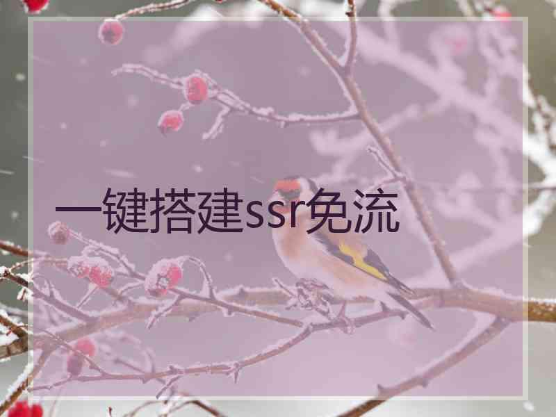 一键搭建ssr免流