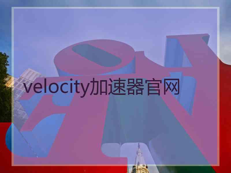 velocity加速器官网