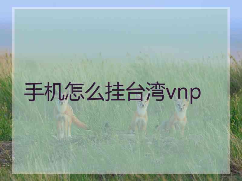 手机怎么挂台湾vnp