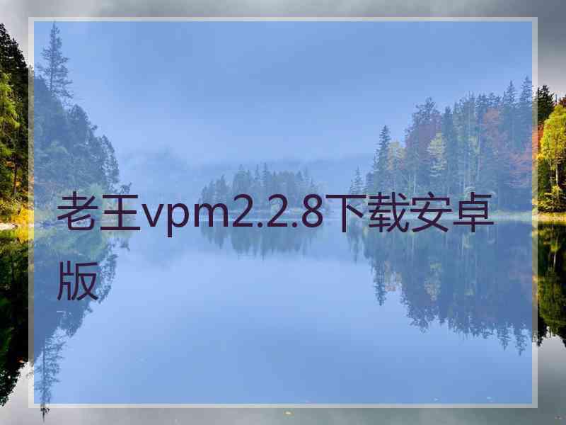 老王vpm2.2.8下载安卓版