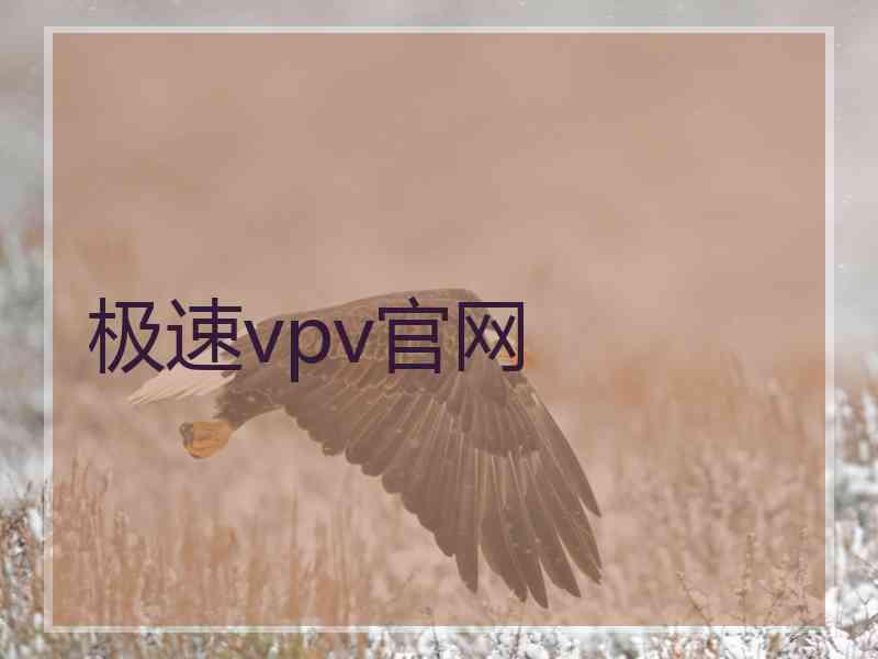 极速vpv官网