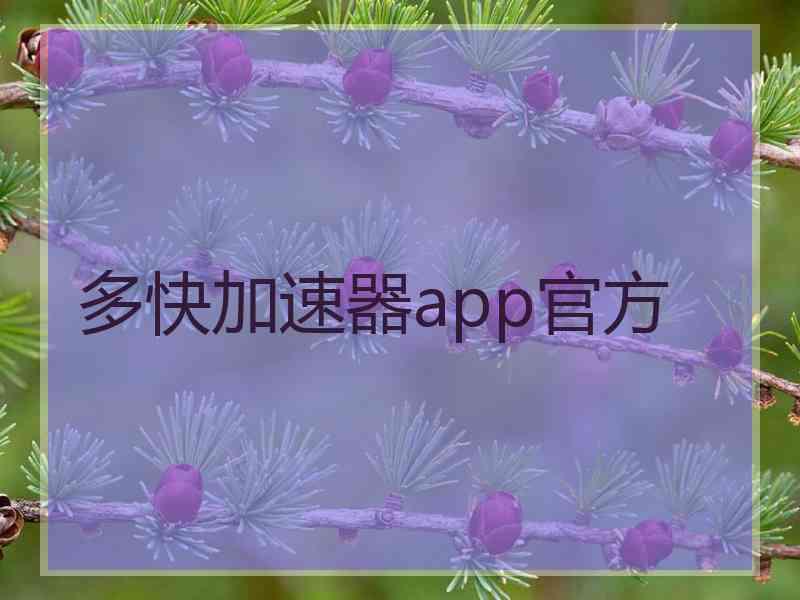 多快加速器app官方