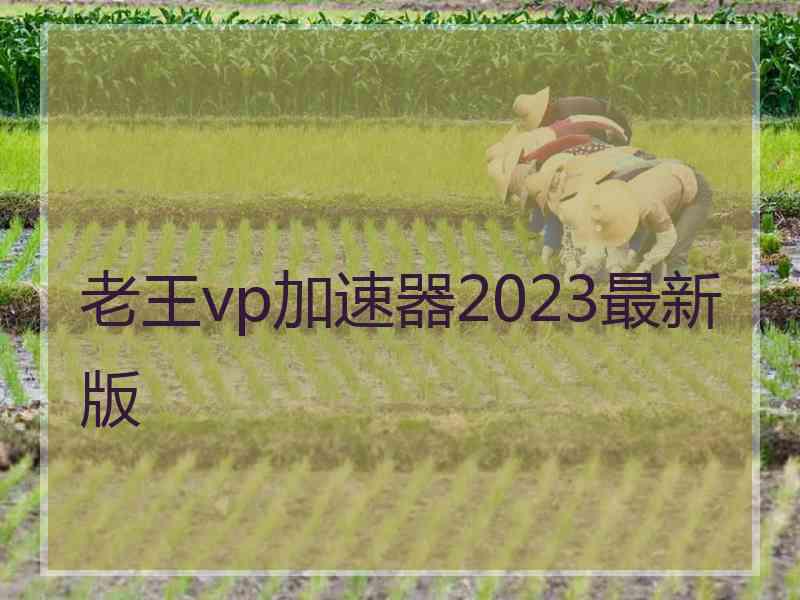 老王vp加速器2023最新版