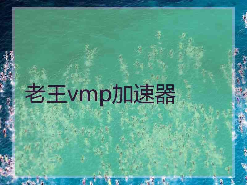 老王vmp加速器