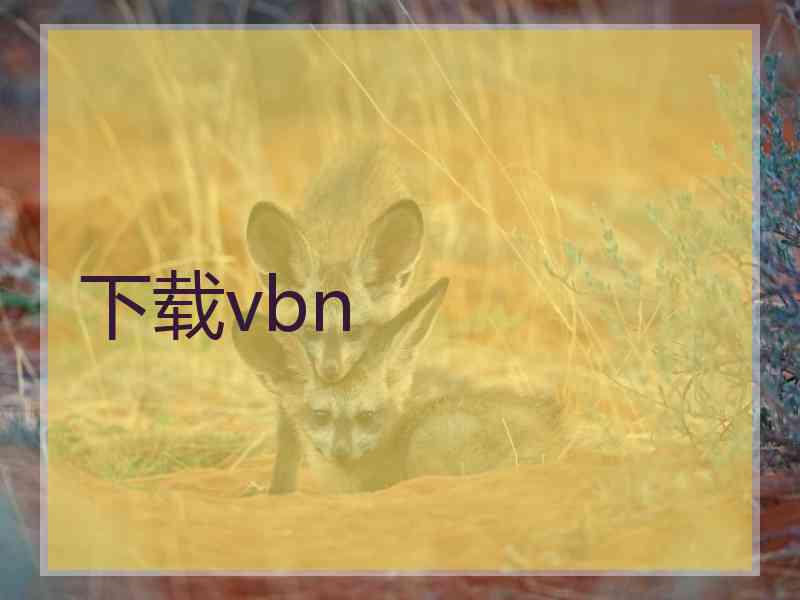 下载vbn