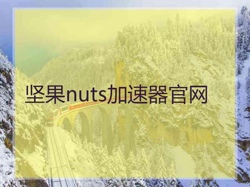 坚果nuts加速器官网