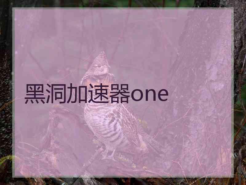 黑洞加速器one