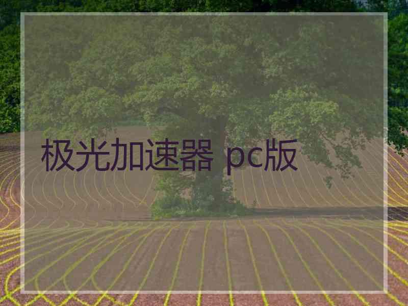 极光加速器 pc版