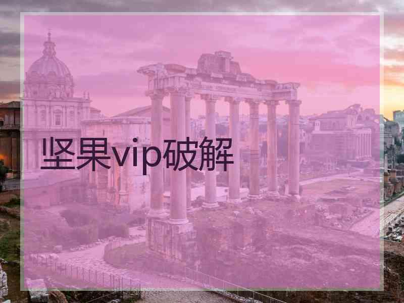 坚果vip破解