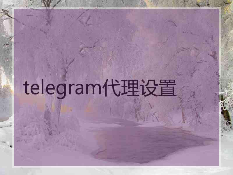 telegram代理设置