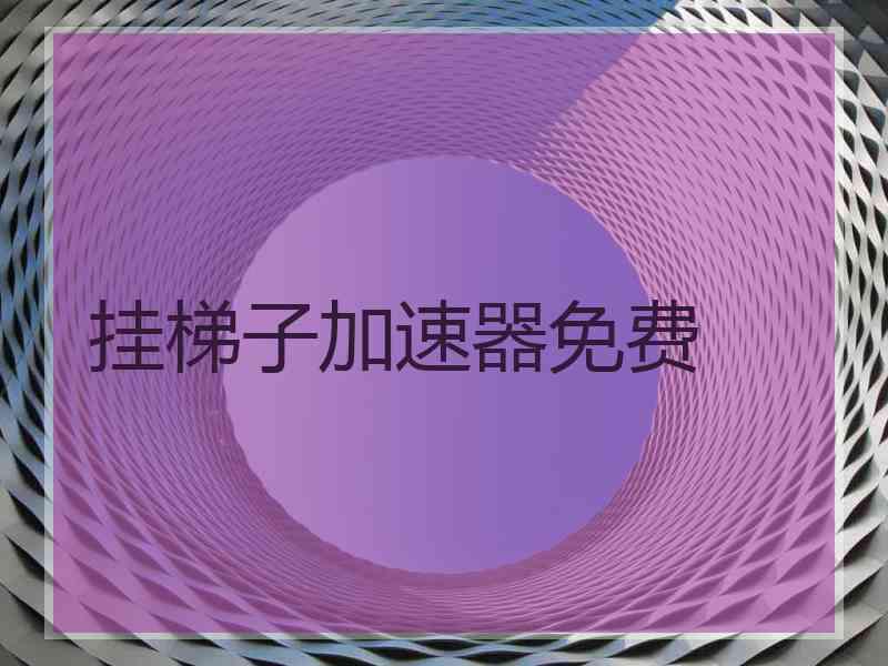 挂梯子加速器免费