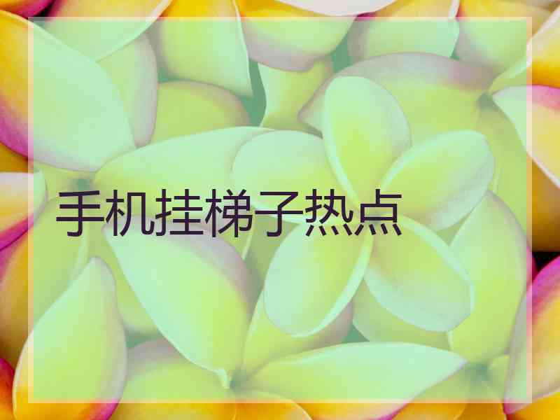 手机挂梯子热点