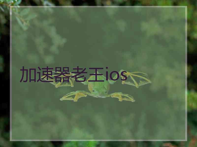 加速器老王ios