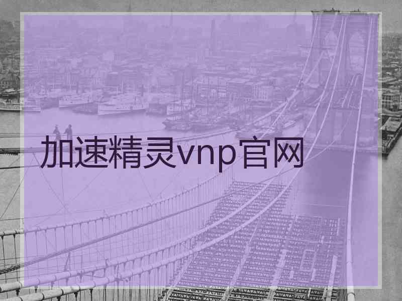 加速精灵vnp官网