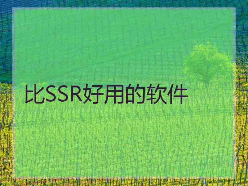 比SSR好用的软件