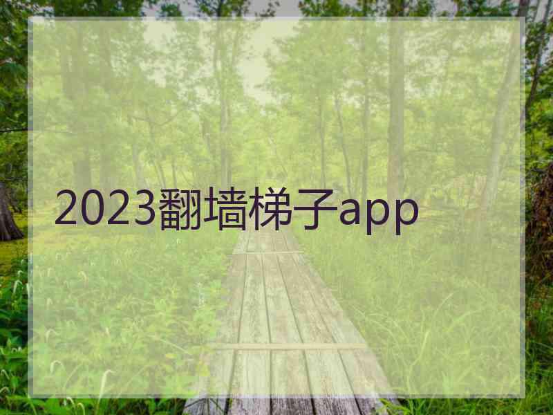 2023翻墙梯子app