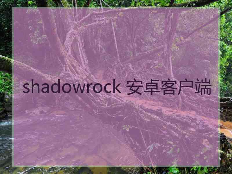 shadowrock 安卓客户端