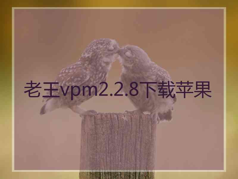 老王vpm2.2.8下载苹果