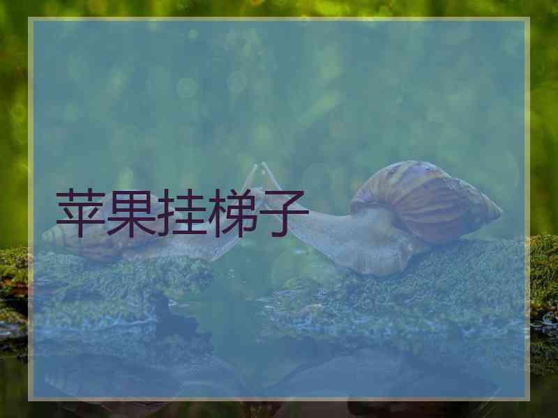 苹果挂梯子