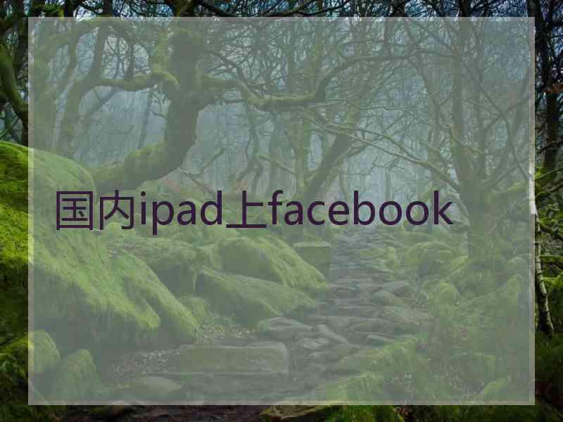 国内ipad上facebook