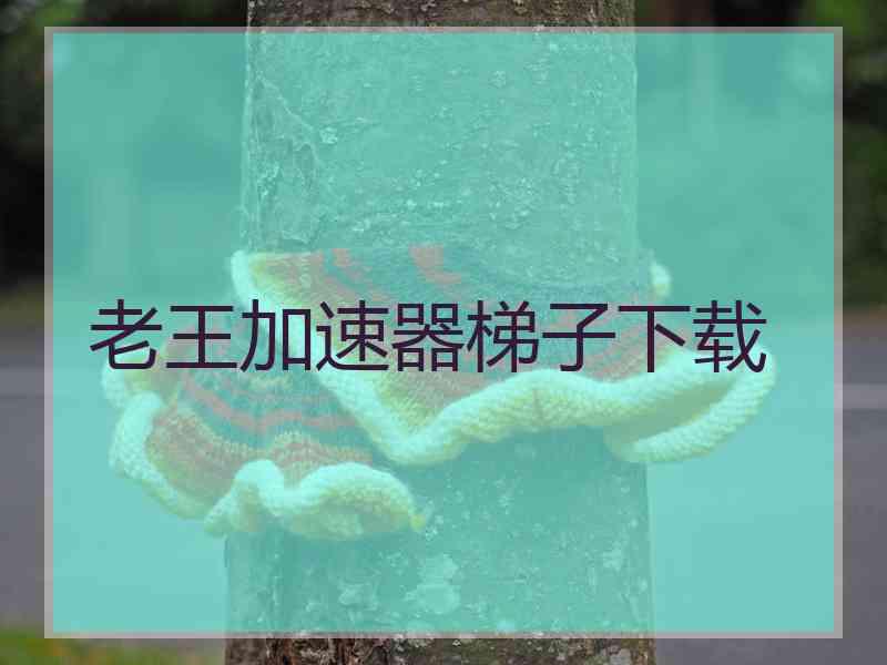 老王加速器梯子下载