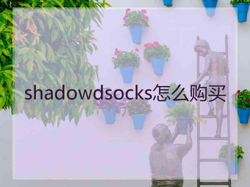 shadowdsocks怎么购买