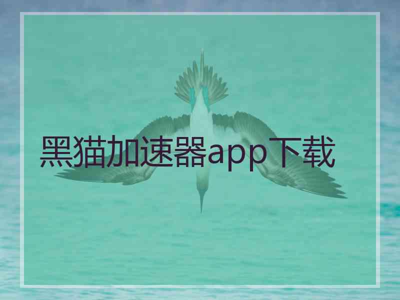 黑猫加速器app下载