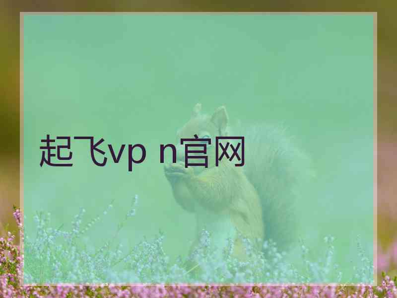 起飞vp n官网