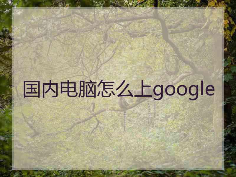 国内电脑怎么上google