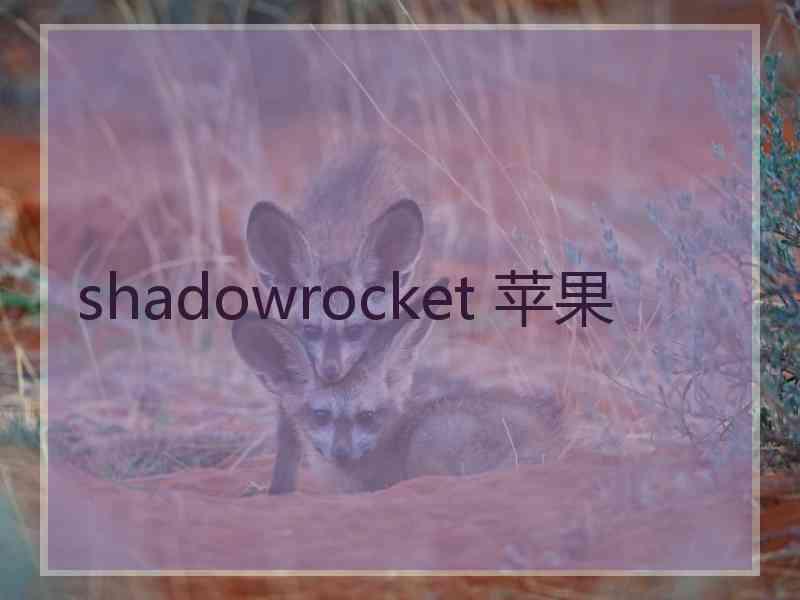 shadowrocket 苹果