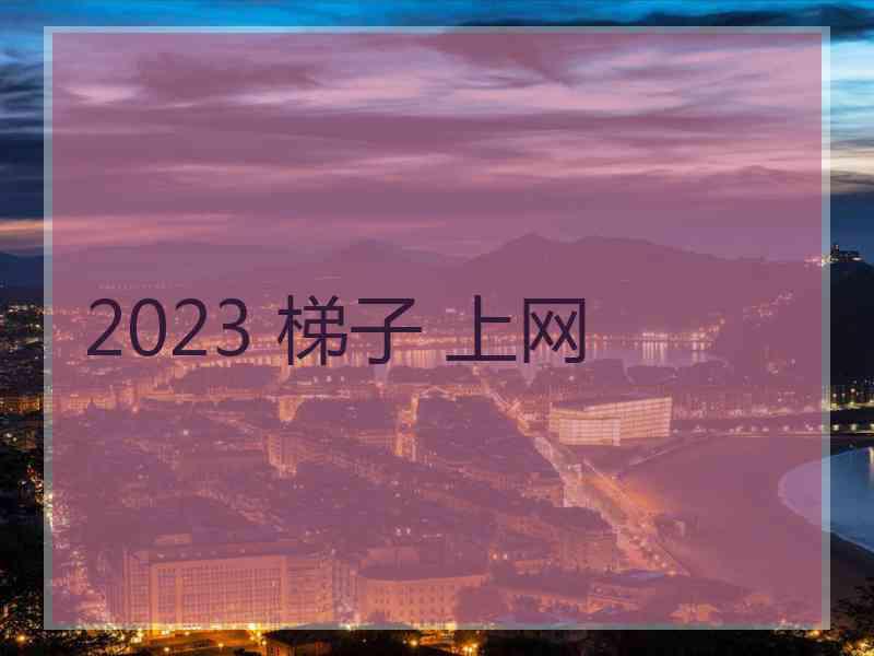 2023 梯子 上网