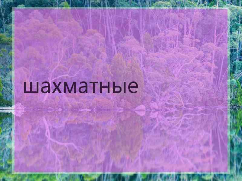 шахматные