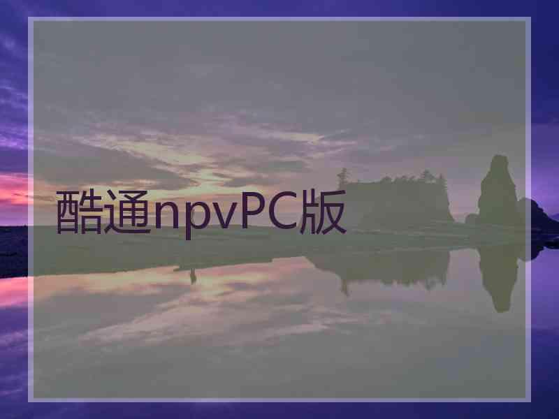 酷通npvPC版