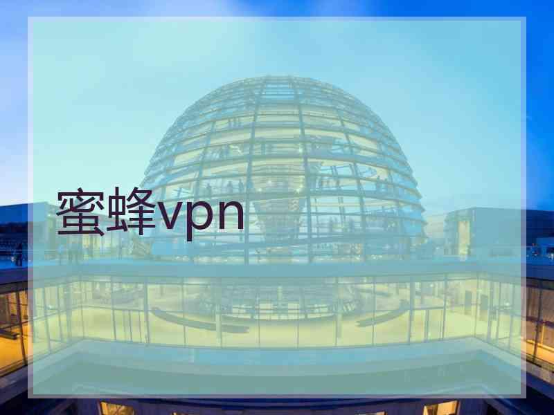 蜜蜂vpn