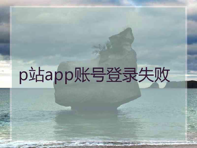 p站app账号登录失败