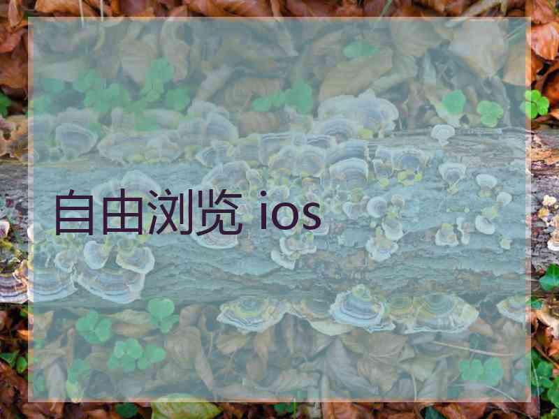 自由浏览 ios