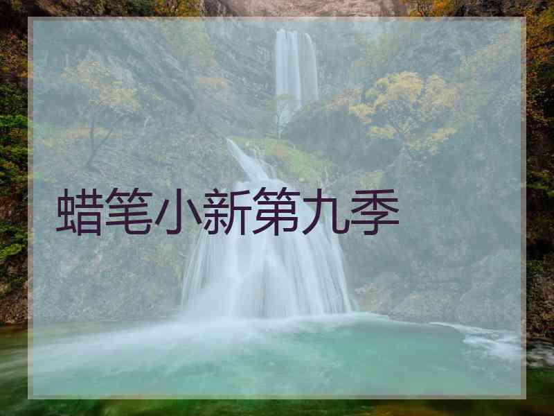 蜡笔小新第九季