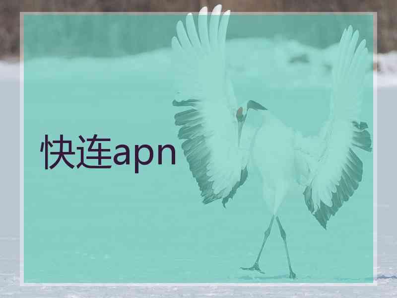 快连apn